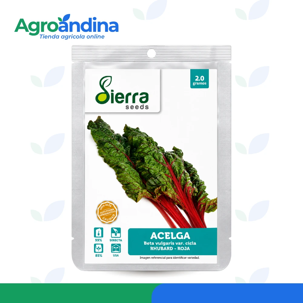 Acelga Rhubarb Roja 2 g Semilla de Acelga Rhubard Roja 2gr