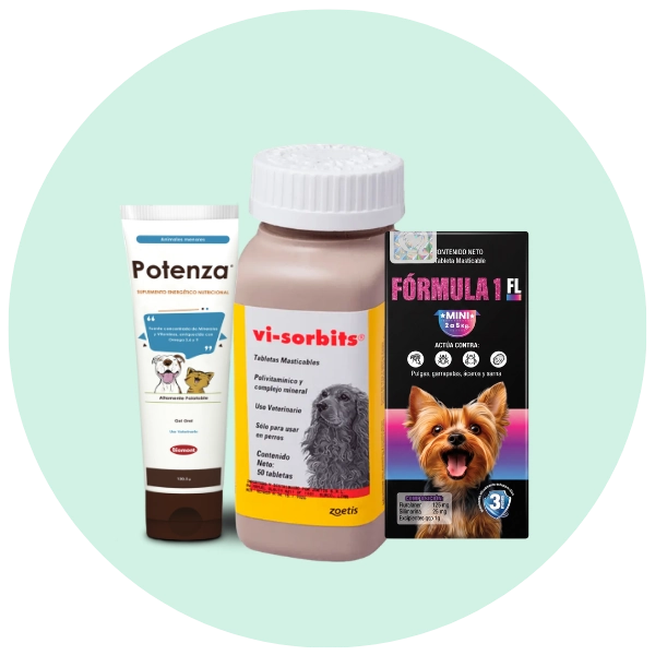 Productos para perros