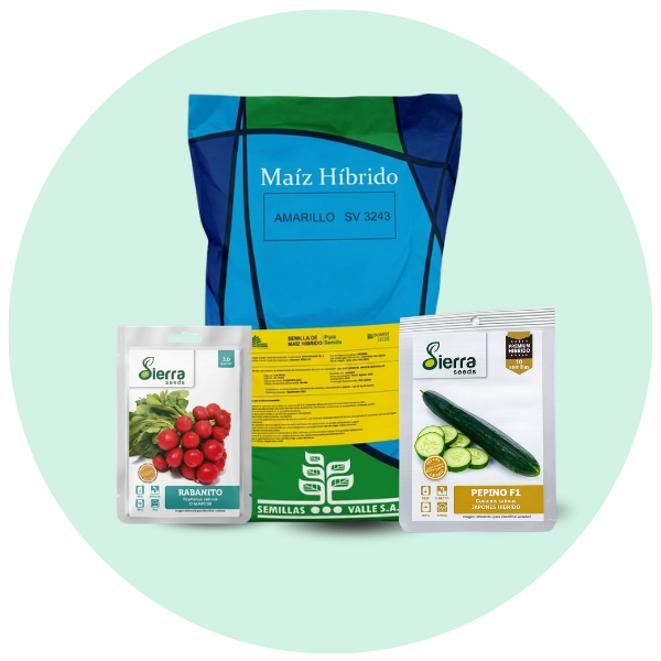 Semillas agrícolas