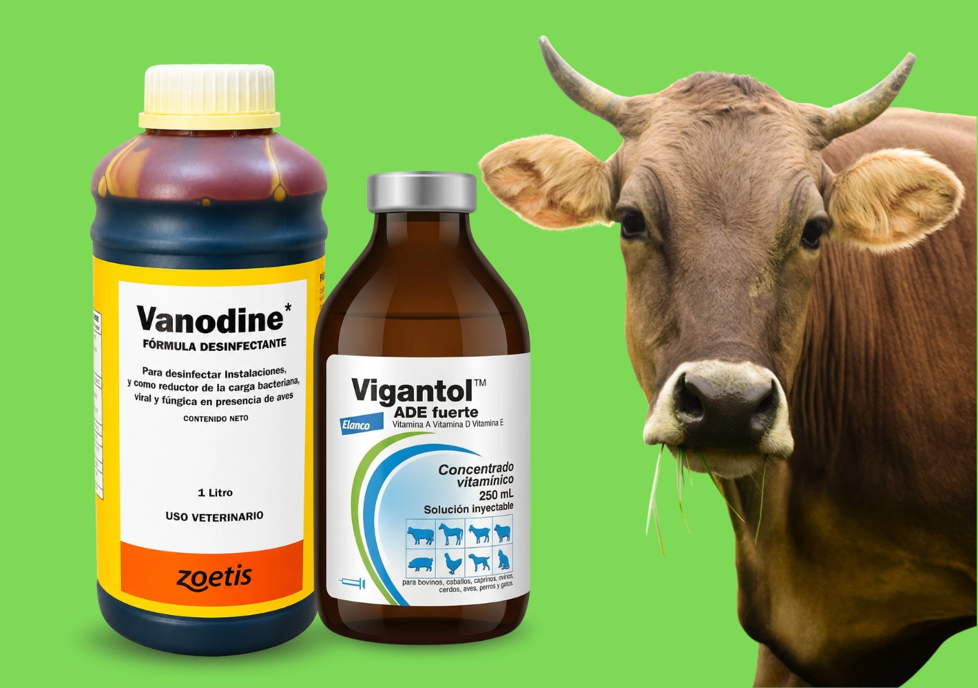 Productos veterinarios Agroandina
