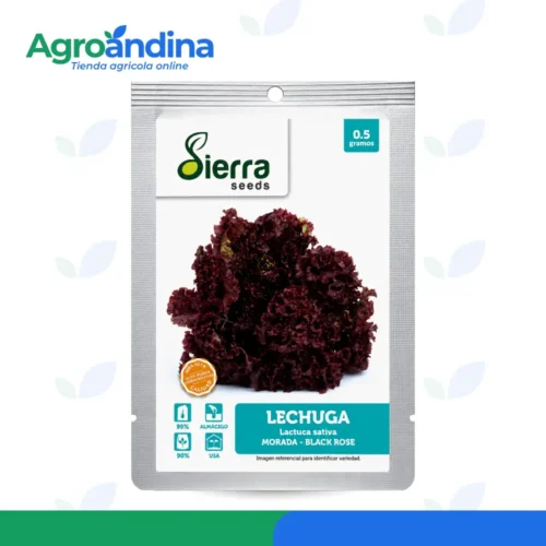 Lechuga Morada Black Rose 0.5 g Semillas de Lechuga Morada Black Rose 0.5 g Sierra Seeds