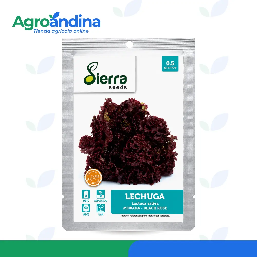 Lechuga Morada Black Rose 0.5 g Semillas de Lechuga Morada Black Rose 0.5 g Sierra Seeds