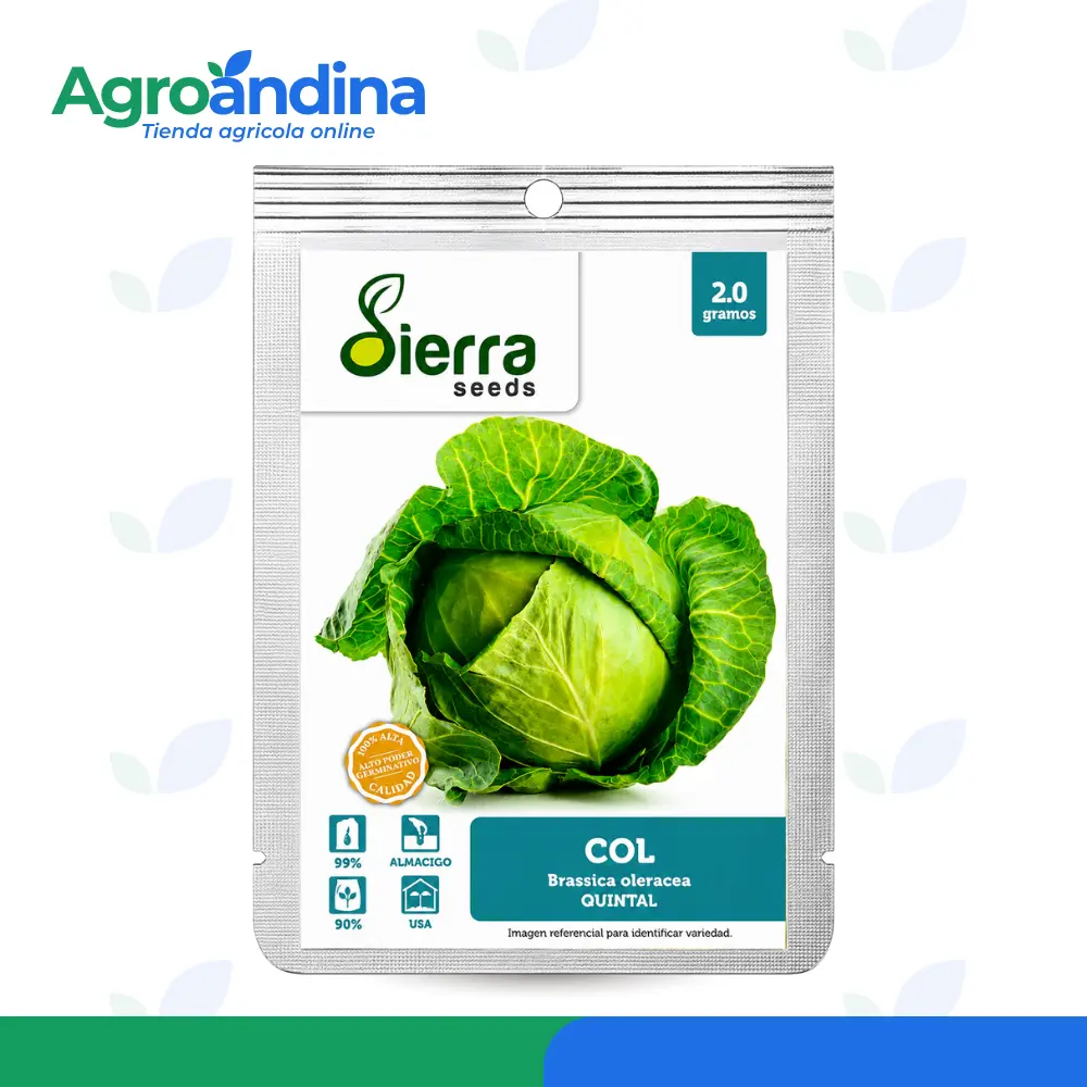 Semilla de Col Quintal Sierra Seeds 2 gramos
