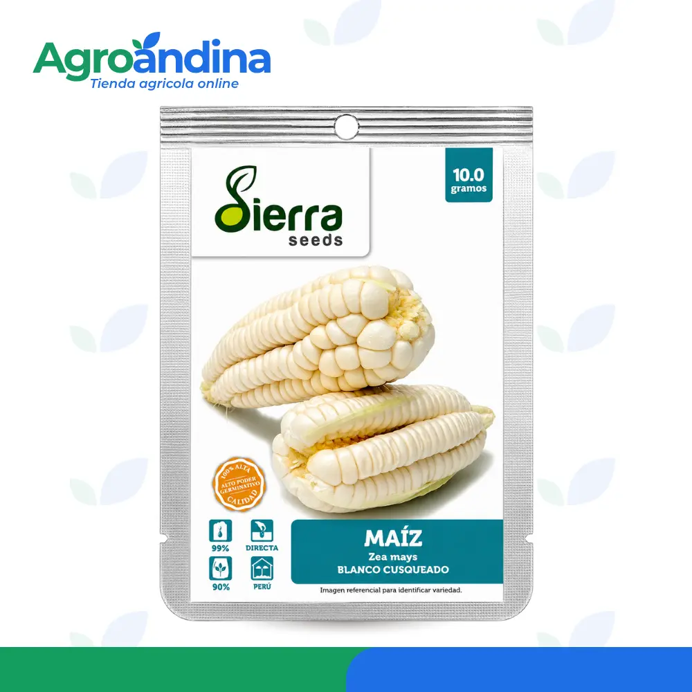 Semilla de maiz blanco 10r Semilla de Maíz Blanco Cusqueado Sierra Seeds 10 g vista frontal