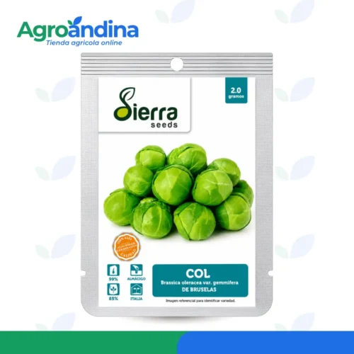 Semillas de Col de Bruselas Sierra Seeds 2 g Semillas de Col de Bruselas Sierra Seeds sobre de 2 gramos