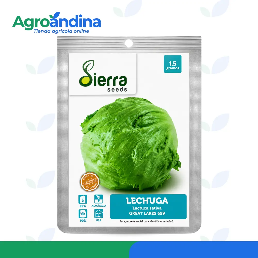 Semillas de Lechuga Great Lakes 659 15 g – Sierra Seeds Semillas de Lechuga Great Lakes 659 15 g Sierra Seeds