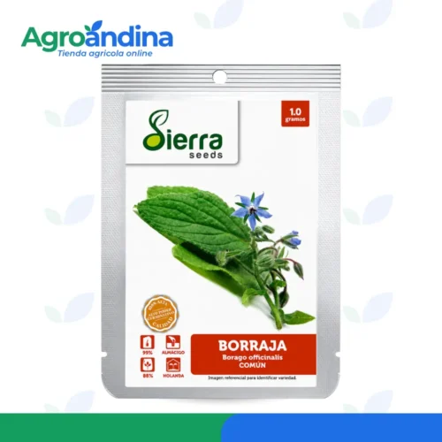 Semillas de borraja común Sierra Seeds 1 g vista frontal