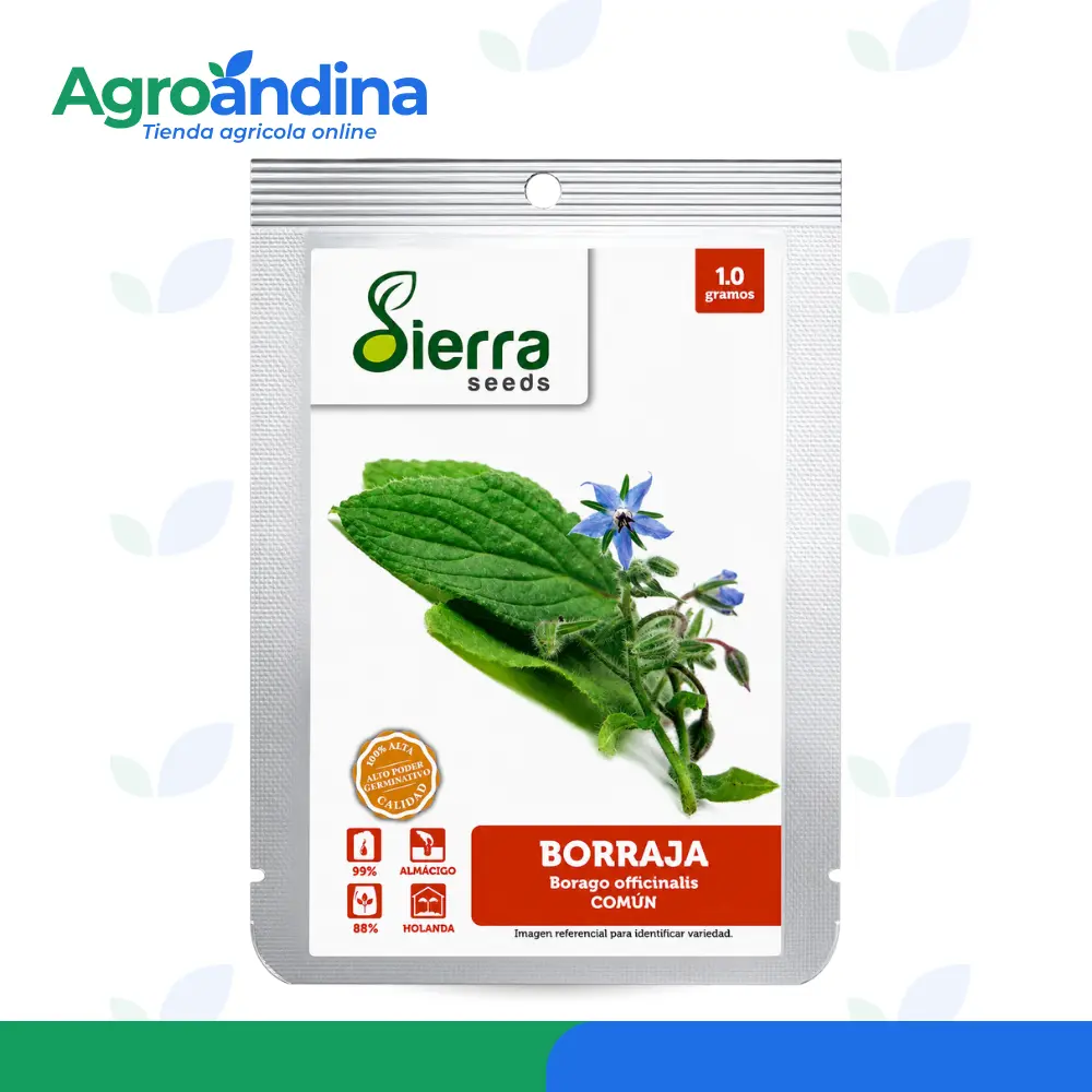 Semillas de borronja 1gr Semillas de borraja común Sierra Seeds 1 g vista frontal