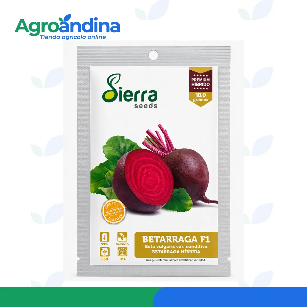 beterraga f1 hibrida 10gr Semillas de betarraga F1 híbrida Sierra Seeds 10 g
