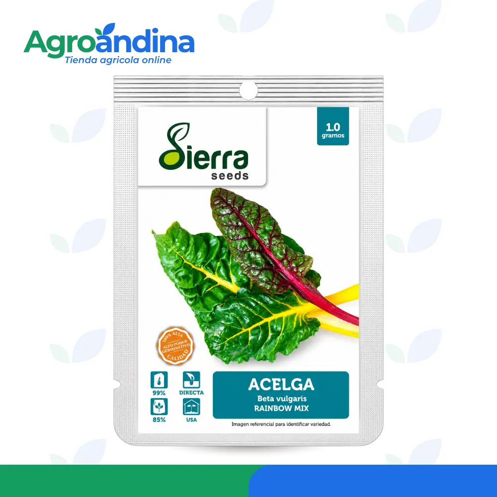 semilla de acelga mix 1gr Semillas de Acelga Rainbow Mix Sierra Seeds de 1 gramo