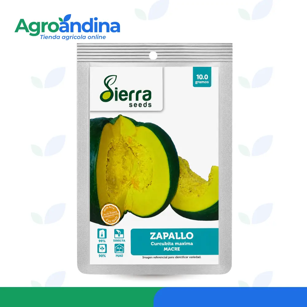 semilla de zapallo macre 10gr Semillas de Zapallo Macre Sierra Seeds presentación de 10 gramos