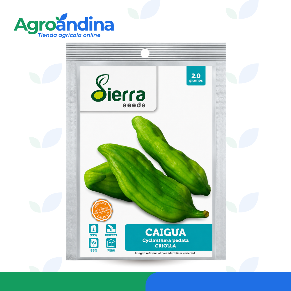 semillas-de-caigua-criolla-sierra-seeds-2g Semillas de Caigua Criolla Sierra Seeds presentación de 2 gramo