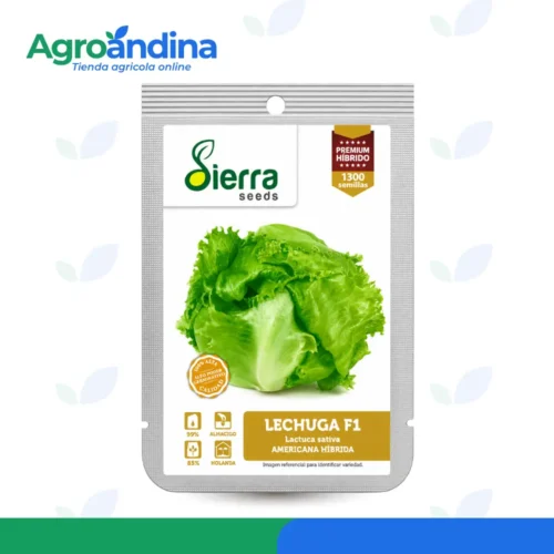 Modo de siembra Lechuga F1 Americana Híbrida Modo de siembra Lechuga F1 Americana Híbrida