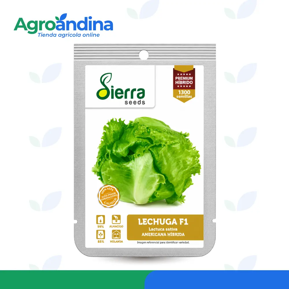 Modo de siembra Lechuga F1 Americana Híbrida Modo de siembra Lechuga F1 Americana Híbrida