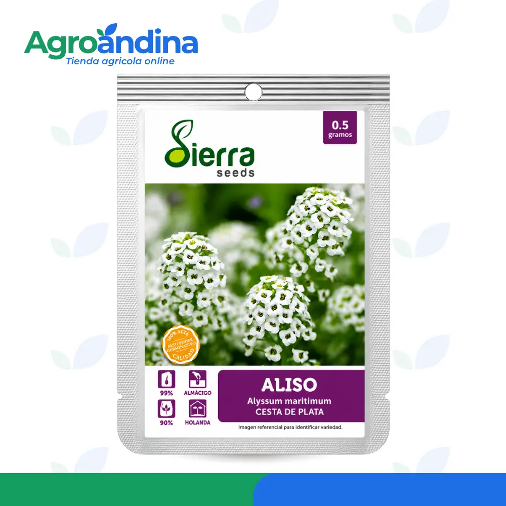 Semilla de Aliso Cesta de Plata 0.5 g Semilla de Aliso Cesta de Plata 0.5 g Sierra Seeds