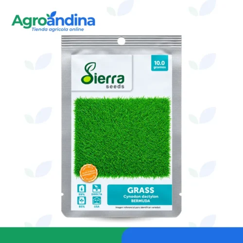Semilla de grass Bermuda 10 g Semilla de grass Bermuda 10 g