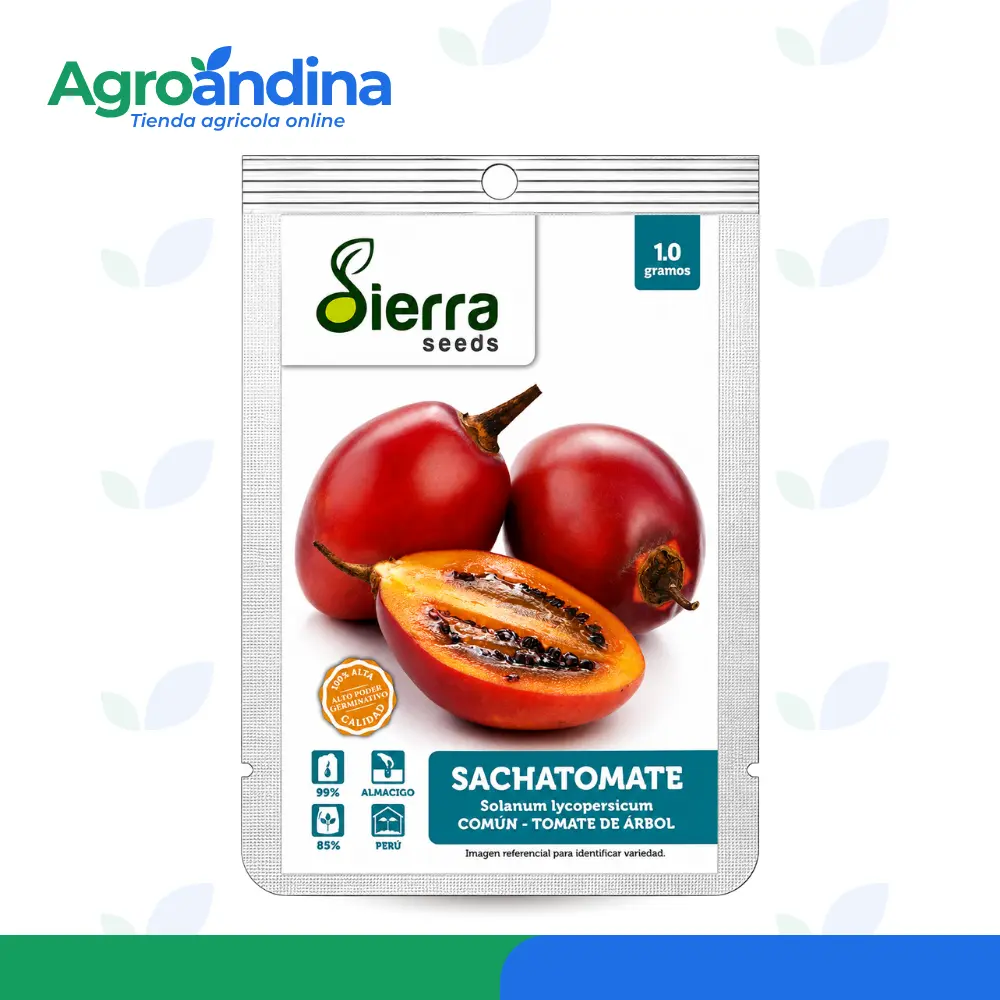 Semilla de sacha tomater Semilla de Sachatomate Sierra Seeds 1 g para cultivo de tomate de árbol