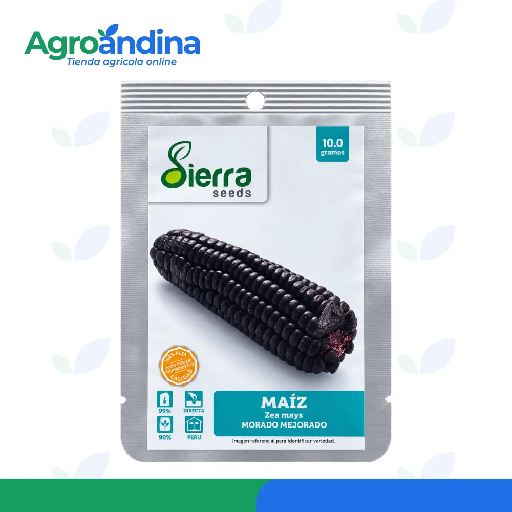 Instrucciones para sembrar semillas de maíz morado mejorado