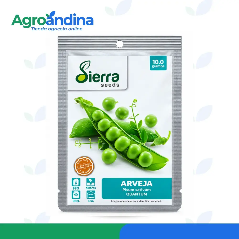 Semilla de arveja Quantum 10 g