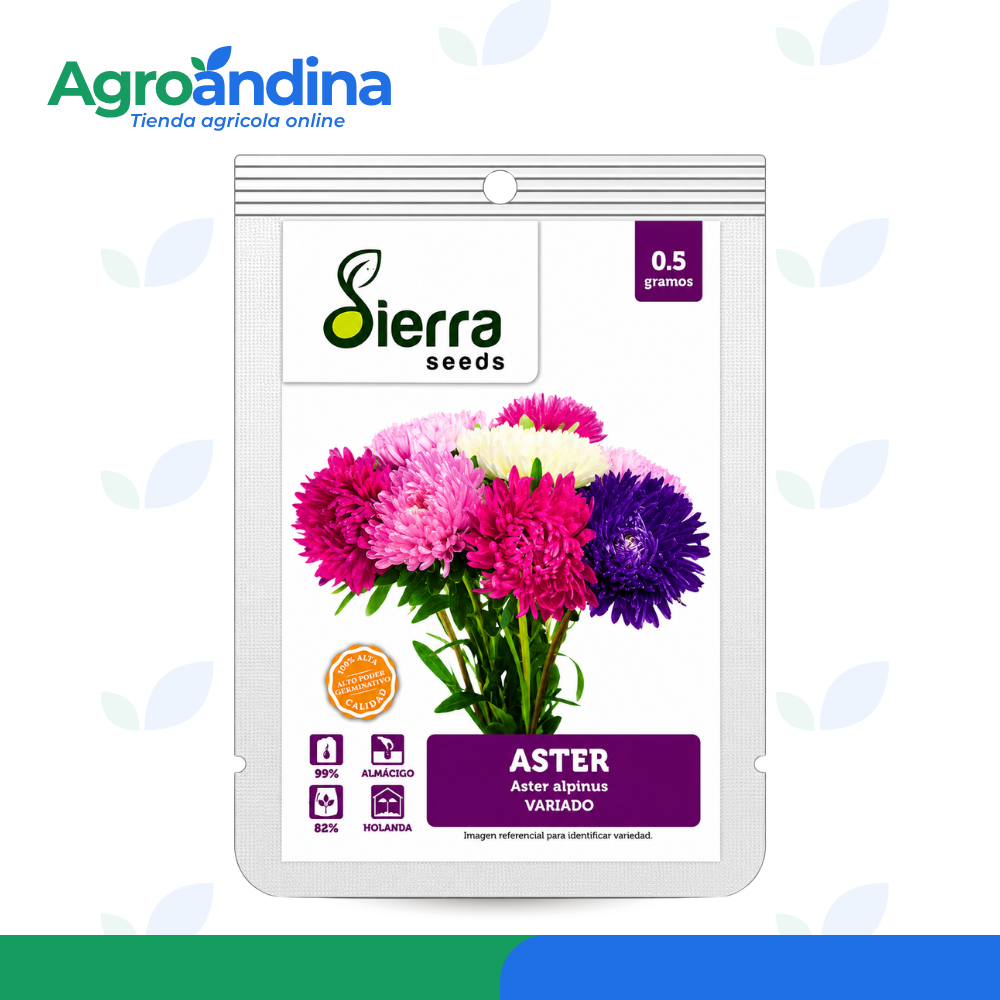 semilla-aster-variado-sierra-seeds-05g Semilla de Aster variado Sierra Seeds 0.5 g
