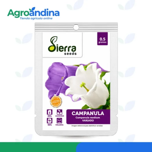 semilla-campanula-variada-sierra-seeds-05g Semilla de Campánula Variada Sierra Seeds sobre de 0.5 g