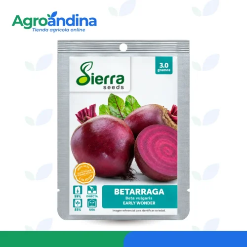 Semilla de Betarraga Early Wonder Sierra Seeds 3 g