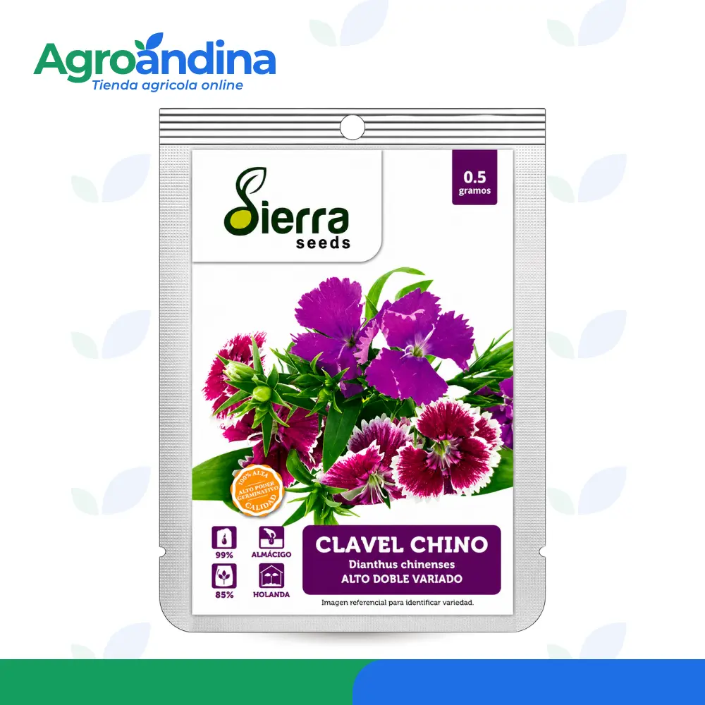 semilla-clavel-chino-alto-doble-variado-sierra-seeds-05g Semilla de Clavel Chino Alto Doble Variado Sierra Seeds 0.5 g