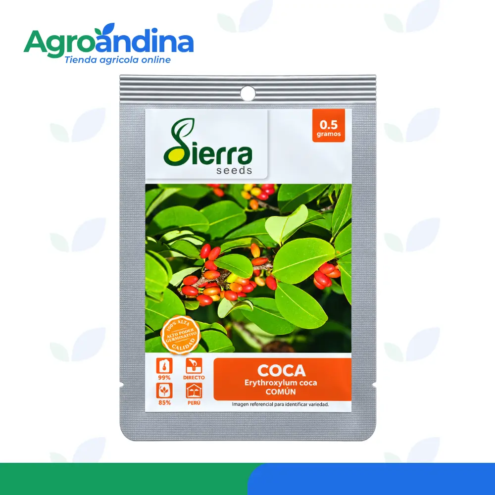 Semilla de coca común Sierra Seeds 0.5 g Erythroxylum coca