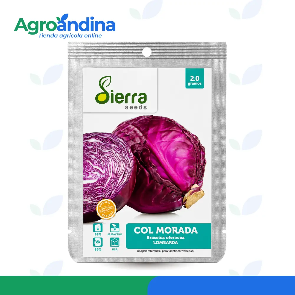 semilla-col-morada-lombarda-sierra-seeds-2g Semilla de Col Morada Lombarda Sierra Seeds 2 gramos