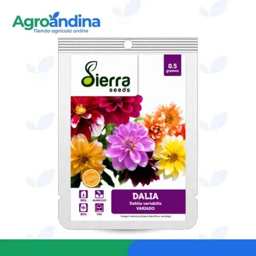 semilla-dalia-variada-sierra-seeds-05g Semilla de Dalia variada Sierra Seeds en sobre de 0.5 gramos