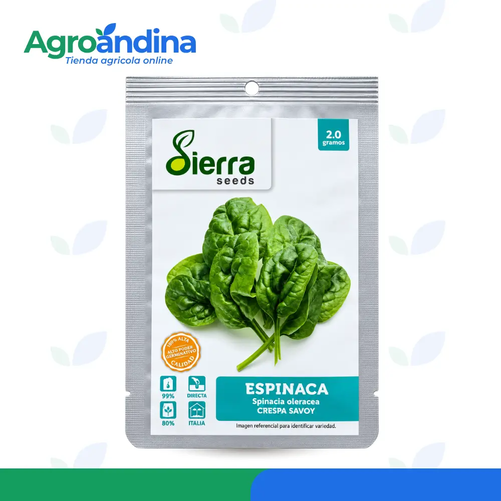semilla-espinaca-crespa-savoy-sierra-seeds-2g Semilla de espinaca Crespa Savoy Sierra Seeds 2 g