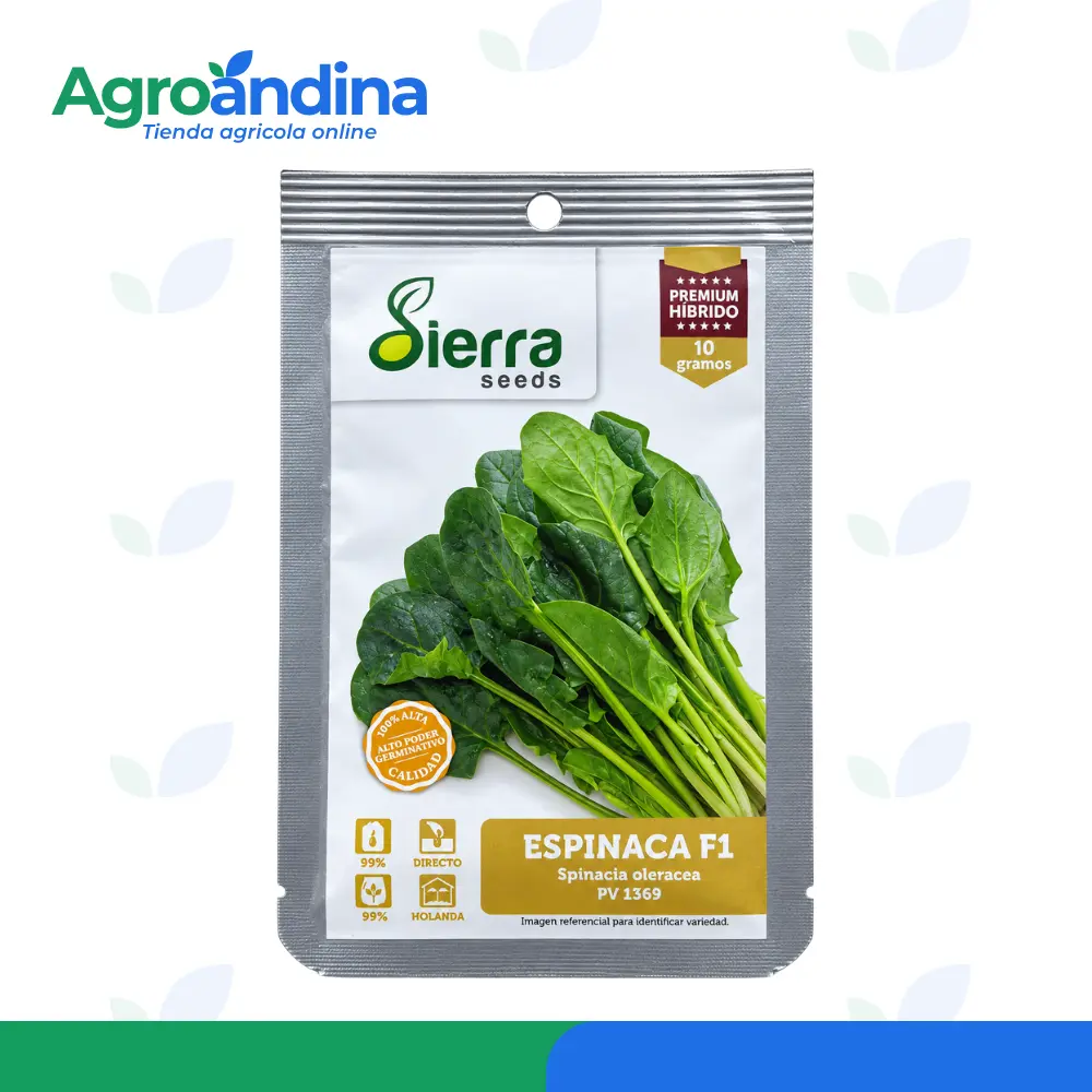 semilla-espinaca-f1-pv-1369-sierra-seeds-10g Semilla de Espinaca F1 PV 1369 Sierra Seeds 10 g