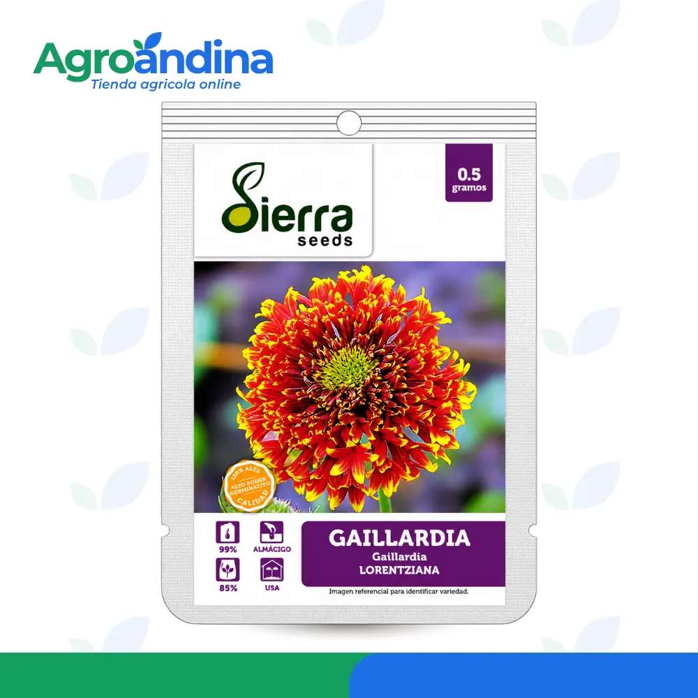 semilla-gallardia-lorenziana-sierra-seeds-05g Semilla de Gallardia Lorenziana Sierra Seeds de 0.5 gramos