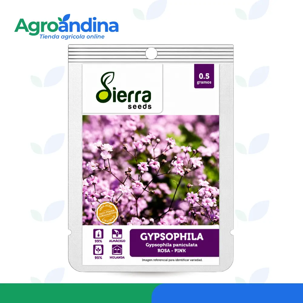 semilla-gypsophila-rosa-pink-sierra-seeds-05g semilla-gypsophila-rosa-pink-sierra-seeds-05g