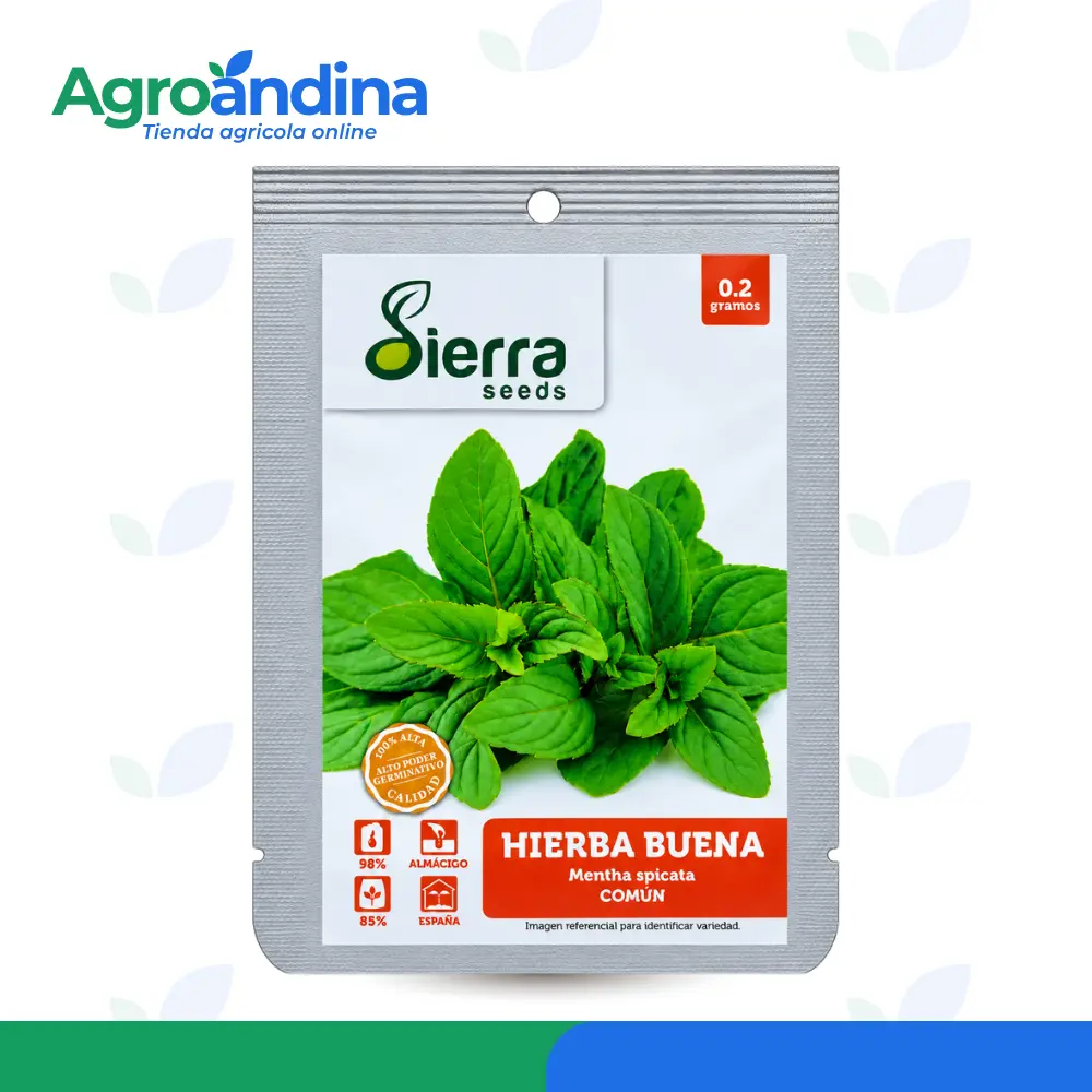 Semilla de hierbabuena común Sierra Seeds 0.2 g
