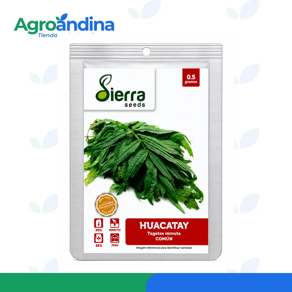 Semilla de Huacatay Común Sierra Seeds 0.5 g
