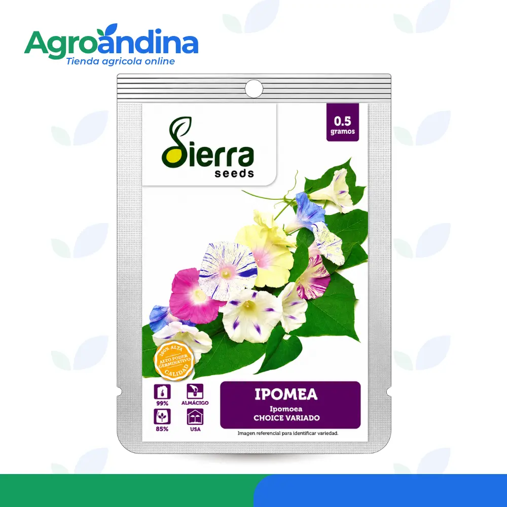 semilla-ipomea-choice-variado-sierra-seeds-05g Semilla de Ipomea Choice Variado Sierra Seeds 0.5 g