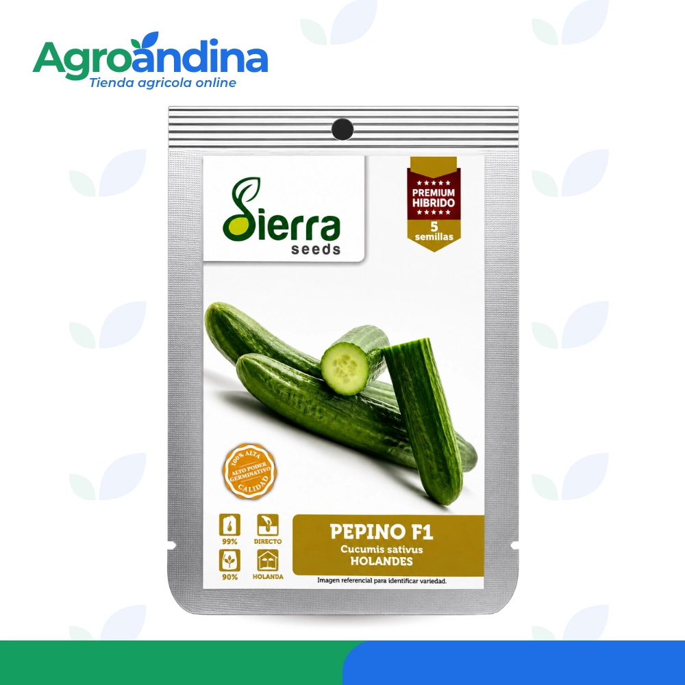 Semilla de pepino F1 holandés Sierra Seeds x 5 semillas