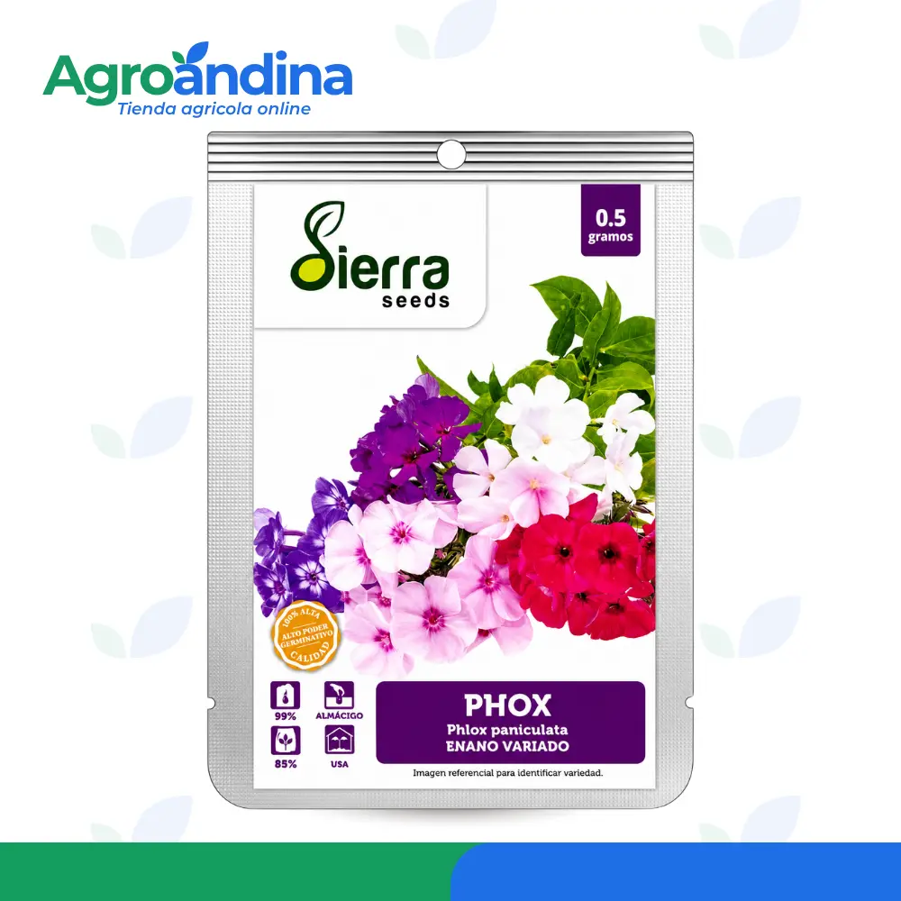 semilla-phlox-enano-variado-05g Semilla de Phlox Enano Variado 0.5g Sierra Seeds