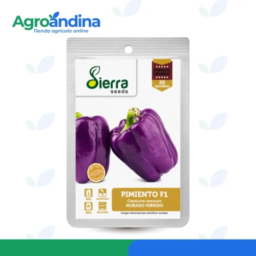 semilla-pimiento-morado-hibrido-f1-sierra-seeds-20-semillas Semilla de pimiento morado híbrido F1 Sierra Seeds de 20 semillas