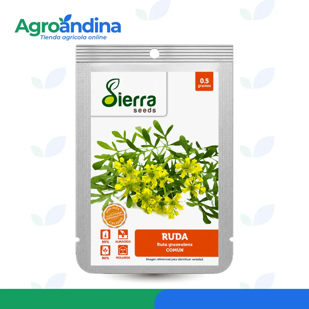 semilla-ruda-comun-sierra-seeds-05g Semilla de ruda común Sierra Seeds sobre de 0.5 gramos