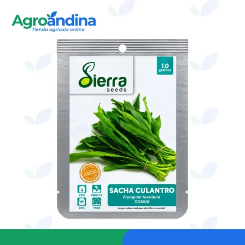 semilla-sacha-culantro-sierra-seeds-1g Semilla de sacha culantro Sierra Seeds 1 g Eryngium foetidum