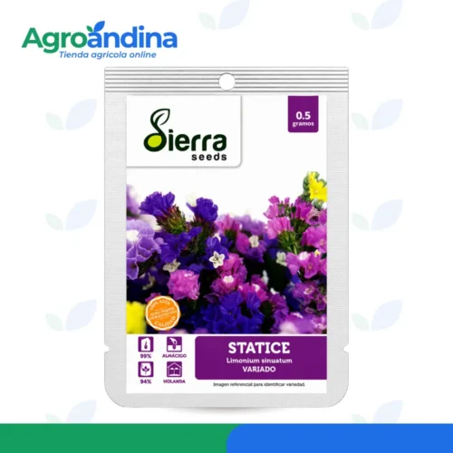 semilla-statice-variado-sierra-seeds-05g Semilla de Statice Variado Sierra Seeds 0.5 g