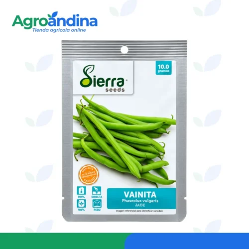 semilla-vainita-jade-sierra-seeds-10g Semilla de vainita Jade Sierra Seeds 10 g