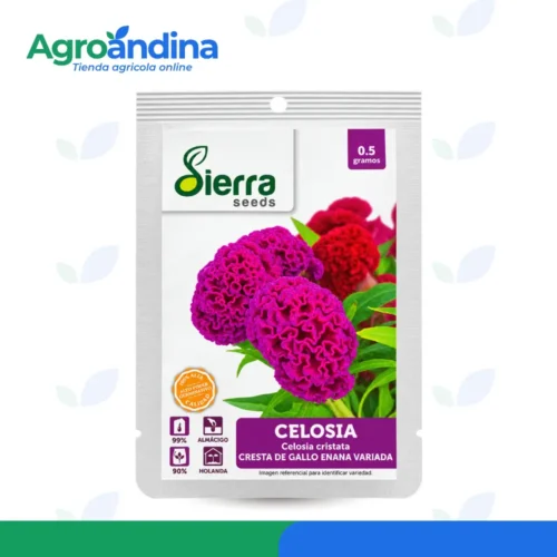 Semillas de celosia cresta de gallo enana variada 0.5 g
