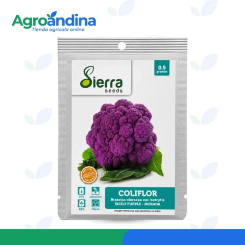 Semillas de coliflor morada Sicily Purple 0.5 g Sierra Seeds