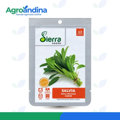 semillas-salvia-comun-sierra-seeds-05g Semillas de salvia común Sierra Seeds sobre de 0.5 gramos